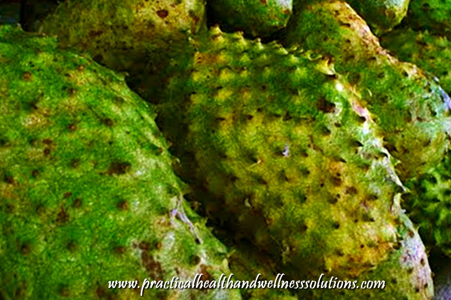 7 Soursop Benefits Guyabano Annona Muricata