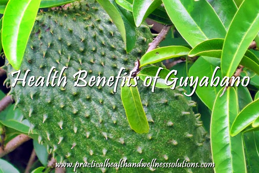 7 Soursop Benefits Guyabano Annona Muricata