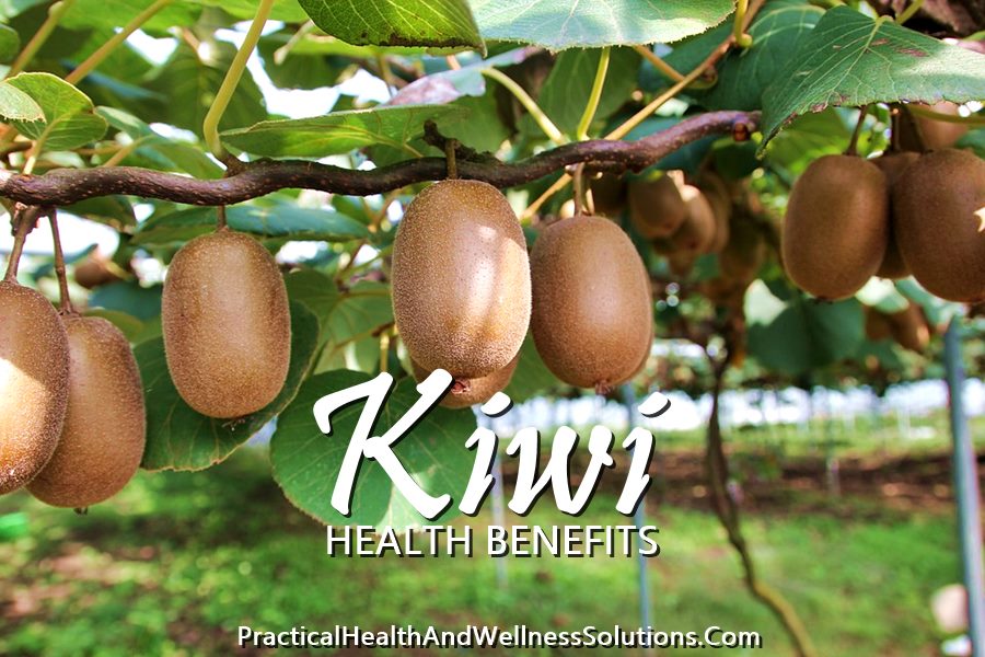 Benefits kiwi fruit Amazing Kiwi