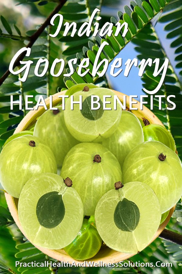 18 Indian Gooseberry Benefits Risks Amla Phyllanthus Emblica