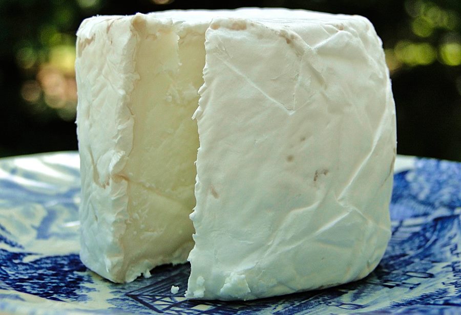 Healthiest Cheese To Eat